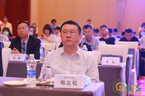 胜利之光，走进湖北热线官网，见证数字化转型的力量