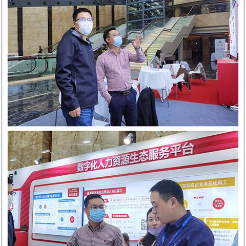 龙网网络官网权威发布，开启数字化转型新篇章