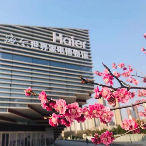 一直在从云服务器同步设置怎么办？优化策略与解决方案