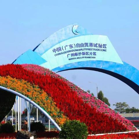 我的易网官网，重塑数字时代的个人品牌与在线影响力