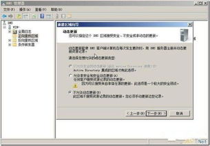 如何配置域名解析系统（DNS）在Windows Server 2003
