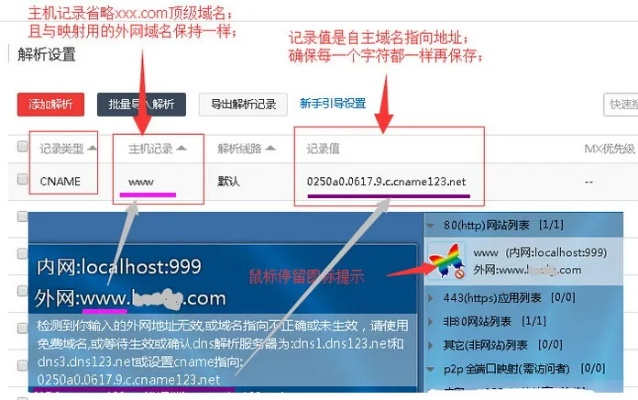 论坛域名怎么看，解析、选择与管理
