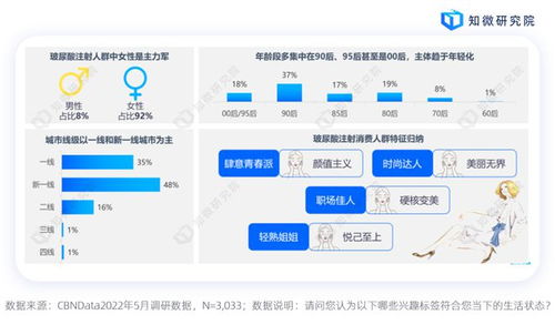 中东数据官网，洞察中东市场，精准捕捉数据背后的商机