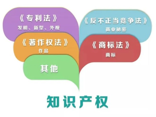简述域名与传统知识产权的异同点