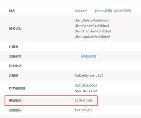 域名频道官网，塑造品牌数字资产的基石