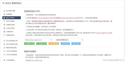 探索域名备案与网站加速的奥秘，从一无所知到高效运营