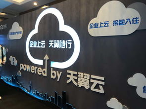 东方主机官网，打造专业稳定的云服务平台，助力企业数字化转型