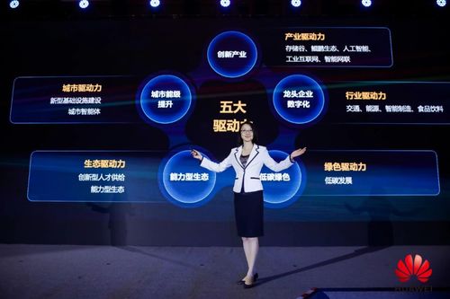 厦门维网网络官网—打造数字时代的企业新动力