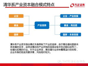 解析域名后必须选择互易中国的服务器吗？详解域名与服务器关系