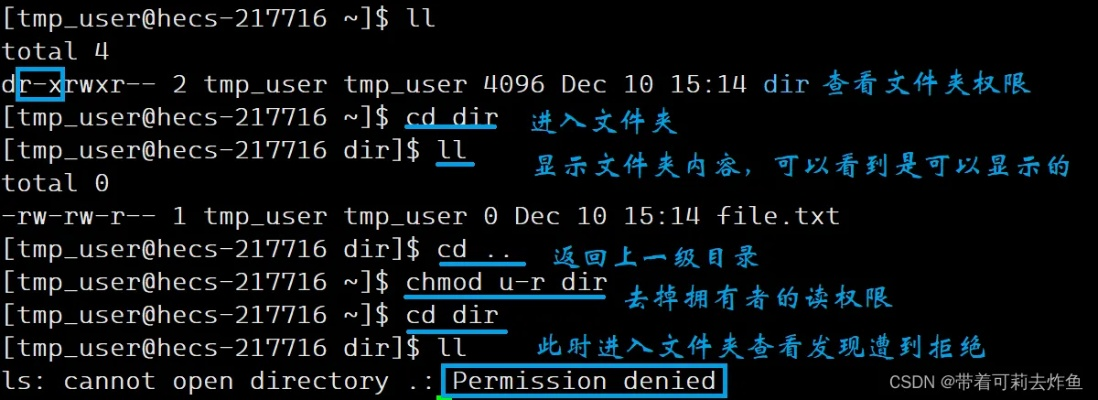 搞了个Linux免费空间安装DEDE没权限求高手