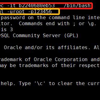 !bin/bash
