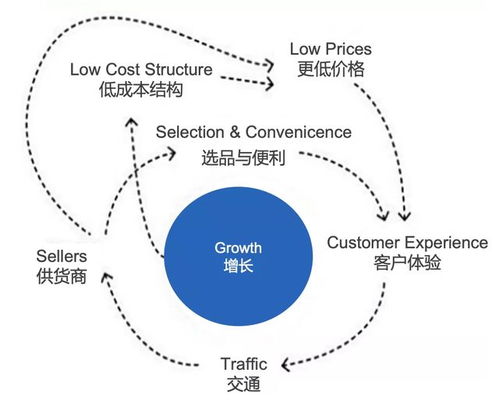 碳云，稳定性的探索与未来展望