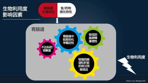 骐网云，稳定性的多维度解析与保障措施探讨
