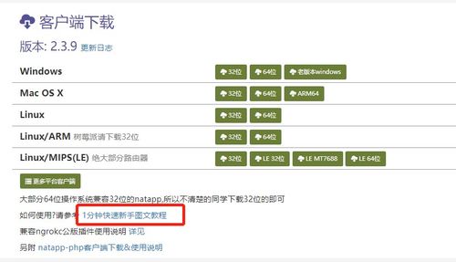 如何将动态域名与自己本地IP地址进行绑定