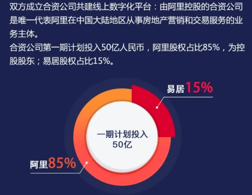 阿里巴巴顶级域名备案被打回，应对策略与未来展望