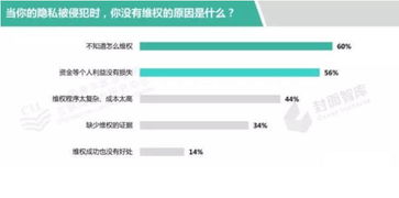 三百云，数据安全的护航者，还是隐秘的风险来源？