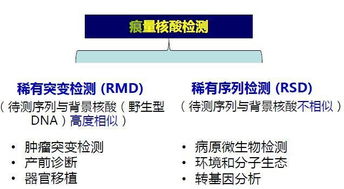 ZKEYS的安全性、稳定性与应用前景