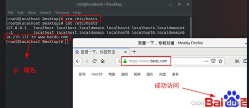 DNS域名解析与IP及端口对应详解