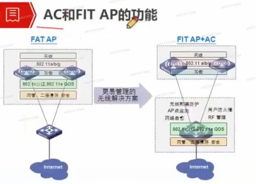IP与域名的关系，从记忆到网络连接的桥梁