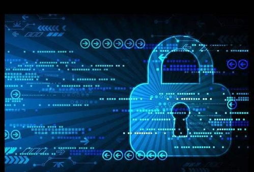 中介网稳定吗，在金融市场的多面镜像与风险控制策略