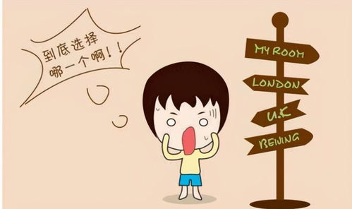 蒲公英网络，稳定与速度的双赢之选