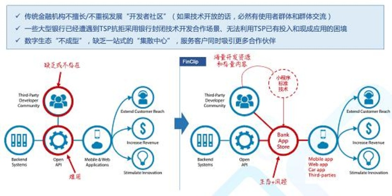 博大网人，构建稳定与可持续发展的数字生态系统