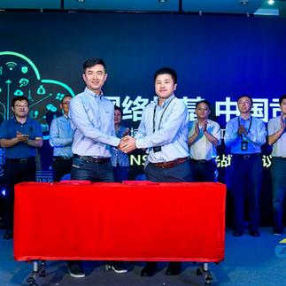如何查网站最新域名，全面解析与实用技巧