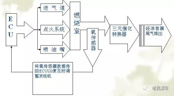 护卫神，稳定的守护者，还是隐患的催化剂？