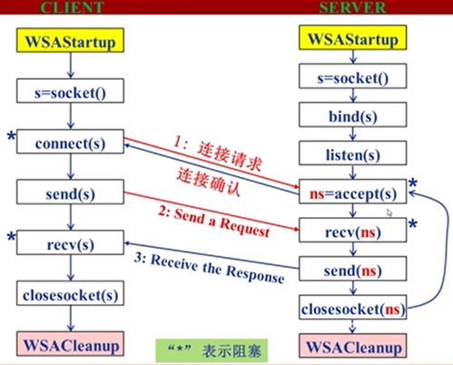 INTERNET上的地址，IP地址与域名地址的两种表示形式