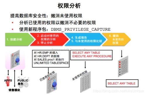 易网主机，其稳定性剖析与技术特性洞察