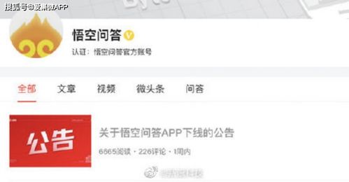 掌柜宝域名不可用是什么意思？