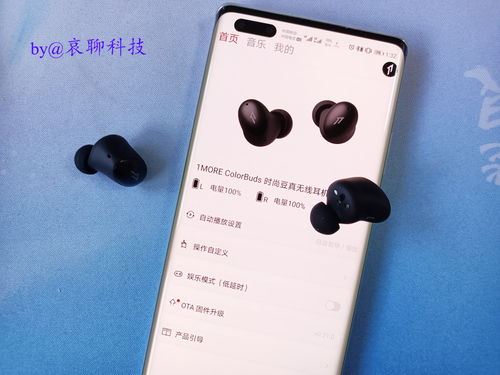 共赢合租新体验，九二合租平台的稳定性与优势剖析