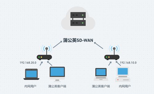 翔达网络，稳固连接，畅享数字世界