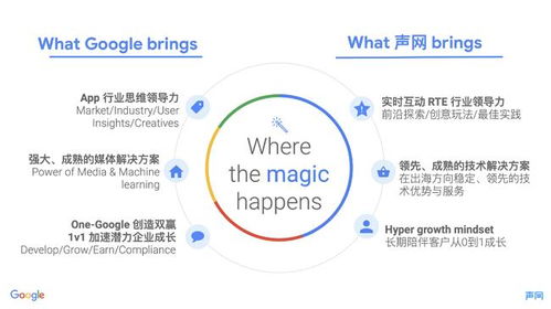 卓天网络，稳定性与创新并驱的互联网服务探索