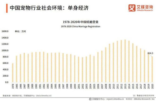 广州新一代稳定性探究，从经济、环境到社会