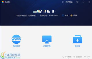 用花生壳做域名解析时，是否需要申请一个域名？