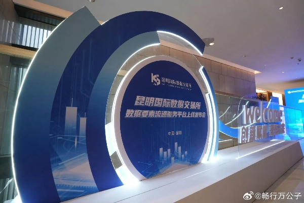 云南数据港，稳定性探索与技术革新下的服务保障