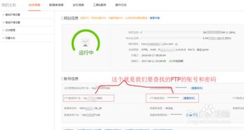 阿里云服务器上的网站可以查看来访者吗？