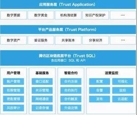 实现自动分配QQ域名的技术创新与流程解析