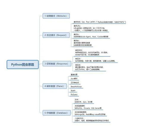 轻松搭建网站，探索可靠的未备案域名与备案流程详解
