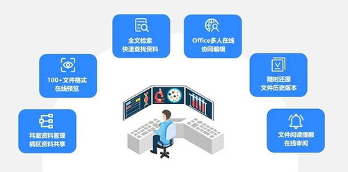 大煌网络，打造安全稳定的网络空间，助力企业与个人的高效发展