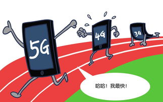 炫网中国，数字时代下的稳定基石