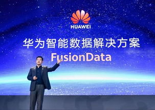 西网科技，以稳定为基，打造科技创新的坚实后盾
