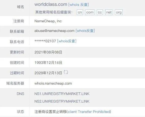 新网域名解析，高效、稳定与安全的网络基石