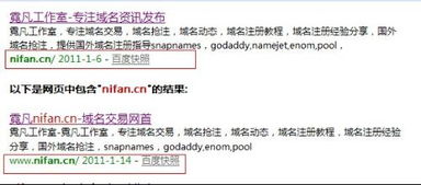 国外注册域名的国内续费可行性及潜在弊端解析