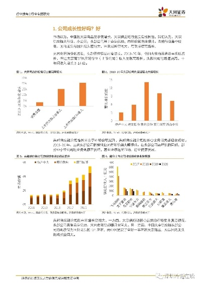 久大互联的稳定性评价与市场前景分析