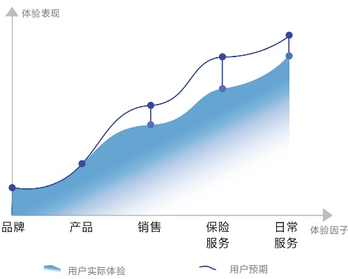 深度剖析七旭网络，稳定性、速度与用户体验的全面审视