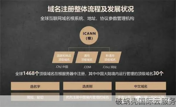 顶级域名，如何高效利用与策略规划