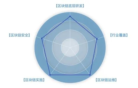 龙心数据，稳定性与创新性的微妙平衡