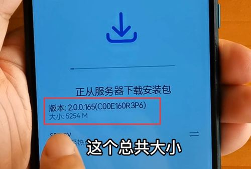 公司更换域名，快速办理指南